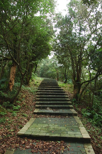 DSC_9785.jpg
