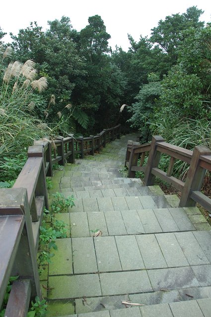 DSC_9788.jpg