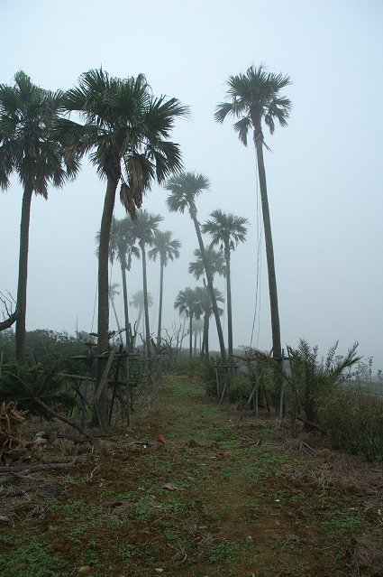 DSC_9790.jpg