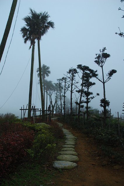 DSC_9791.jpg