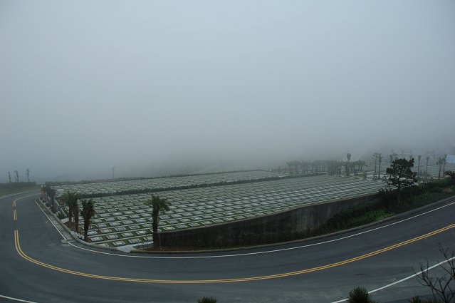 DSC_9796.jpg