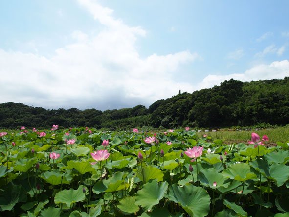 0701六塊厝漁、白沙灣、漁人碼頭_10