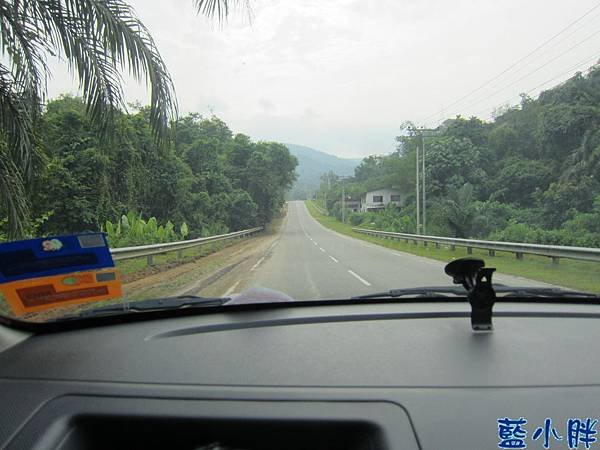 IMG_9292.JPG