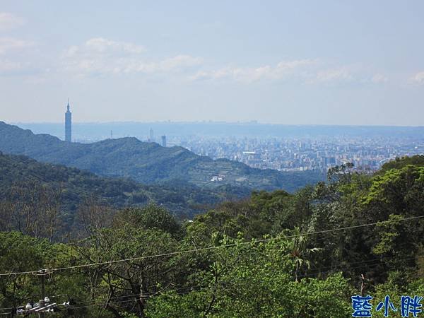 IMG_1365.JPG