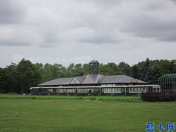 IMG_8372.JPG