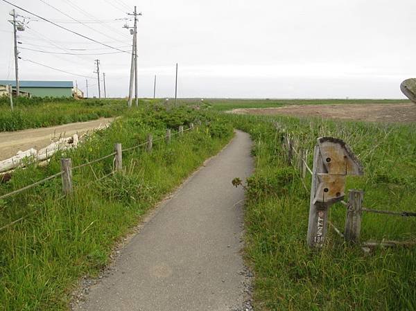 北海道 (317).JPG