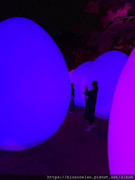 2023 チームラボ 金沢城 光の祭 &amp; 兼六園夜間點燈