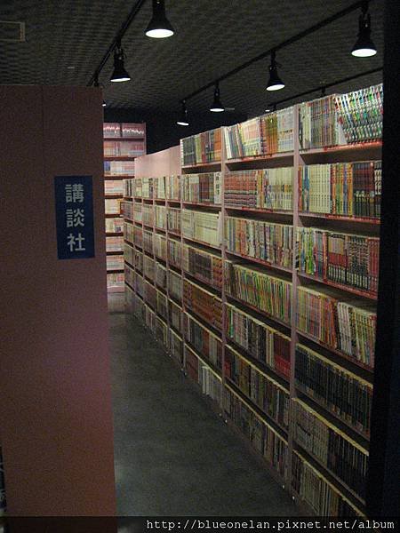 04-net01.JPG