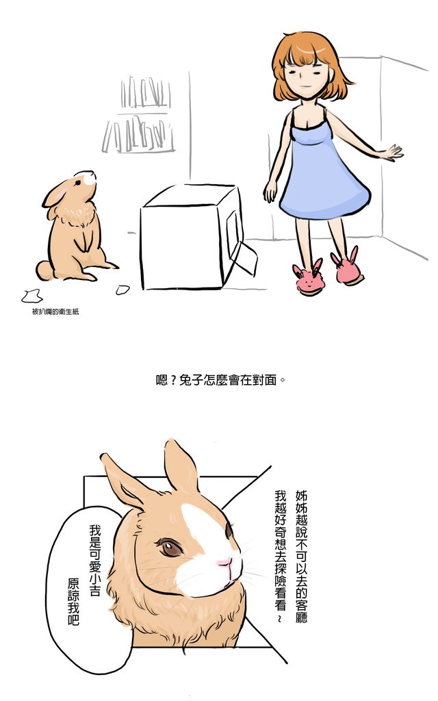 Rabbit Hide 2.jpg