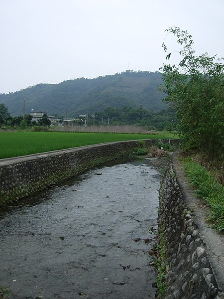 把水草弄掉的河面 很清爽.JPG