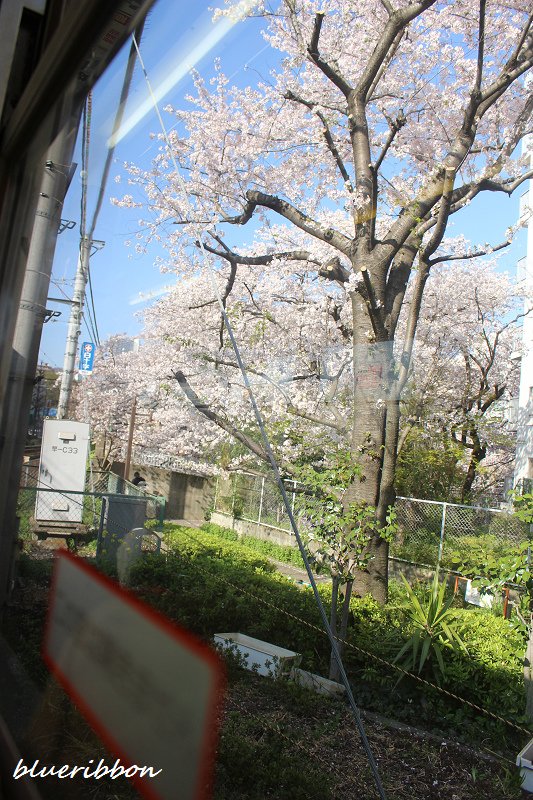 IMG_8750.jpg