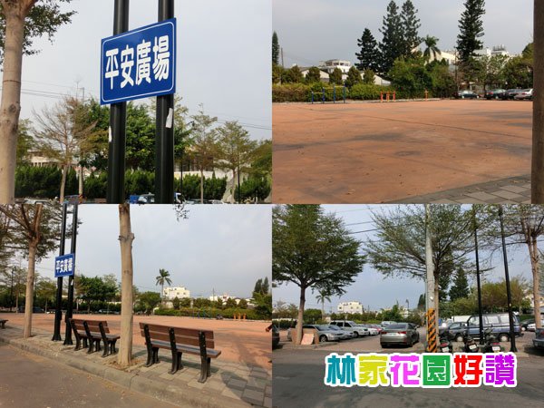 CIMG5921-tile.jpg