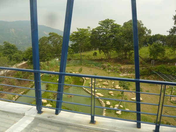P1150420.JPG