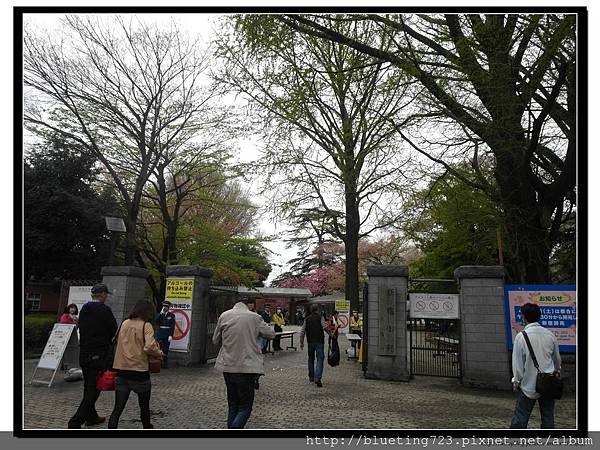 東京《新宿御苑》1.jpg