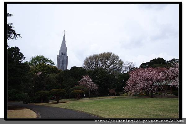 東京《新宿御苑》9.jpg