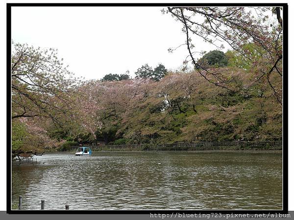 東京《吉祥寺 井之頭恩賜公園》5.jpg