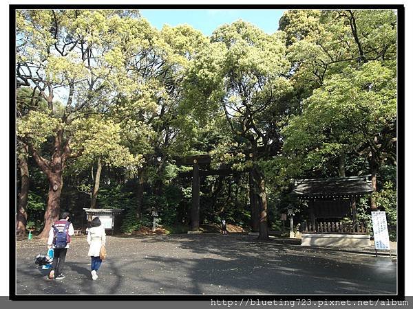 東京《明治神宮》1.jpg