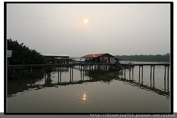 沙巴亞庇《威士頓濕地Weston》12.jpg