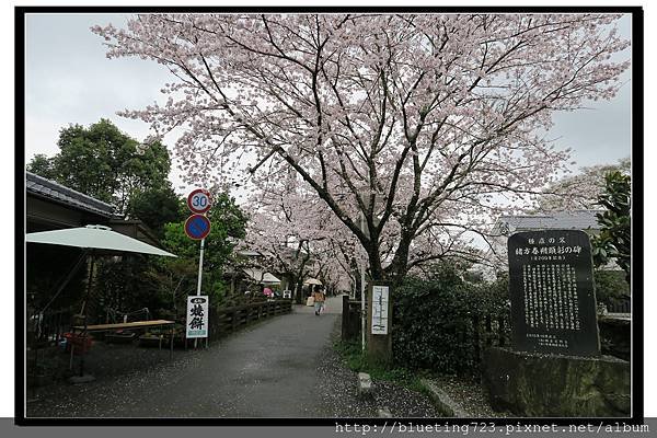 九州福岡《秋月城跡》1.jpg