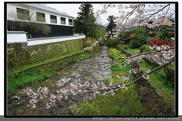 九州福岡《秋月城跡》2.jpg