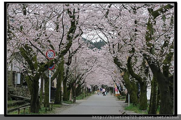 九州福岡《秋月城跡》3.jpg