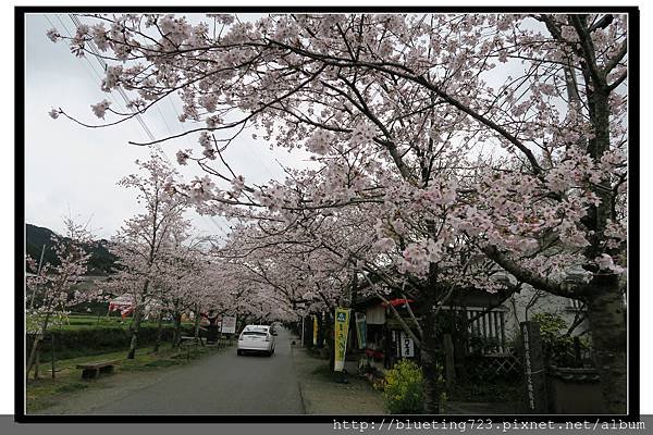 九州福岡《秋月城跡》6.jpg