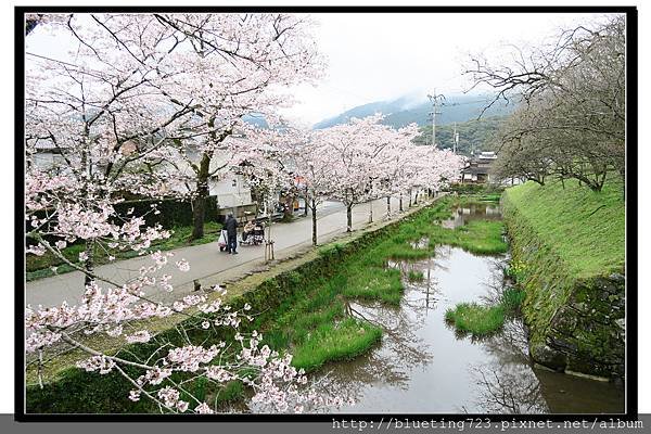 九州福岡《秋月城跡》12.jpg