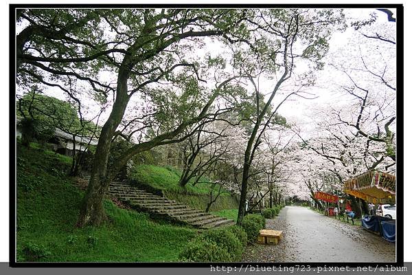 九州福岡《秋月城跡》14.jpg