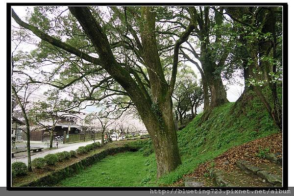 九州福岡《秋月城跡》16.jpg