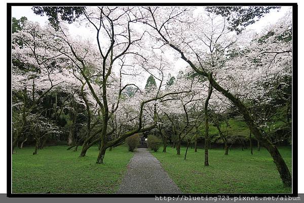 九州福岡《秋月城跡》17.jpg