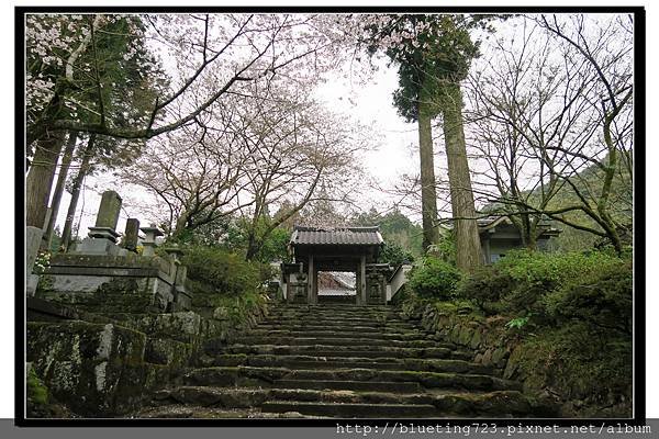 九州福岡《秋月城跡》23.jpg