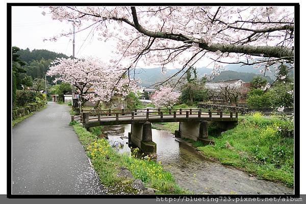 九州福岡《秋月城跡》27.jpg