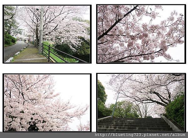 九州福岡《西公園》11.jpg