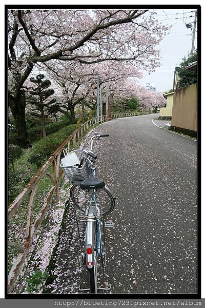 九州佐賀《嬉野溫泉》4.jpg