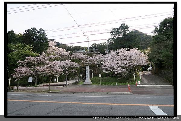 九州佐賀《武雄神社》1.jpg