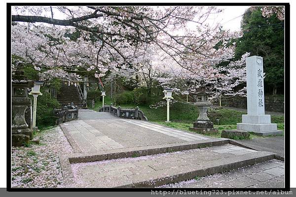 九州佐賀《武雄神社》2.jpg