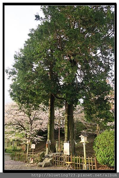 九州佐賀《武雄神社》3.jpg