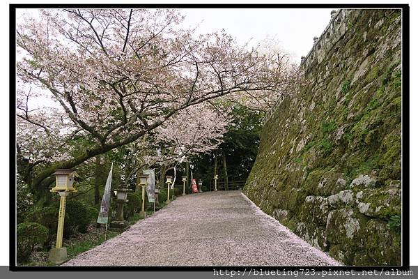 九州佐賀《武雄神社》5.jpg