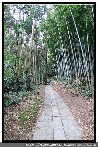 九州佐賀《武雄神社》9.jpg