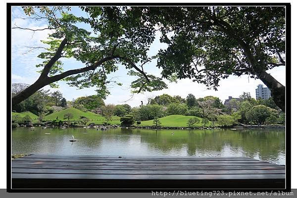 九州《水前寺成趣園》20.jpg