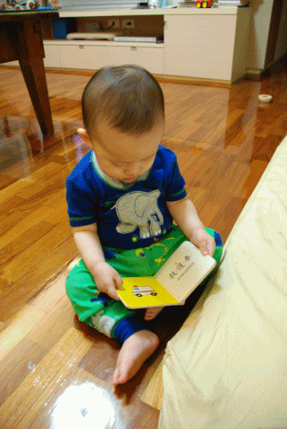芝麻翻書1.gif