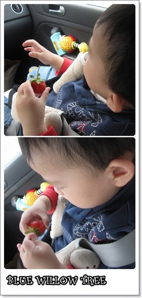 20100411-3.jpg