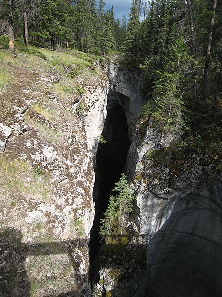 IMG_8583.JPG