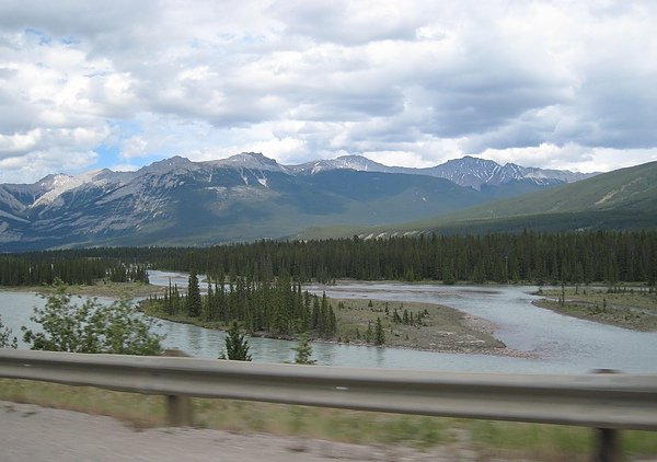 IMG_8550.JPG