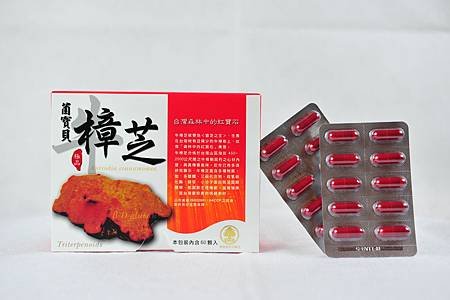 菌寶貝牛樟芝 60入