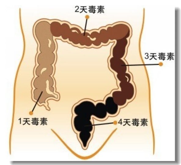 有效清理宿便最健康的方法