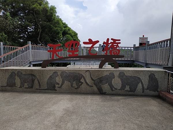 猴探景天空之橋_200917_11.jpg