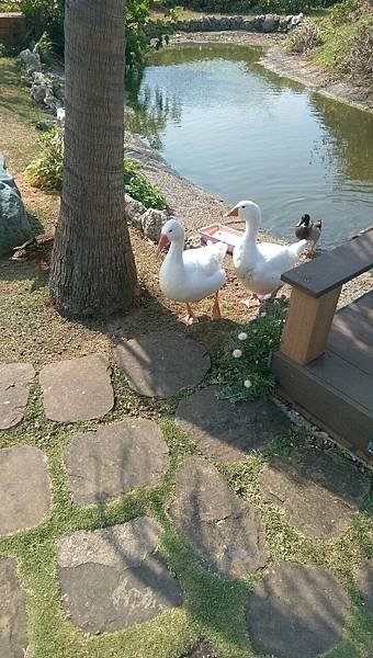 磐谷拉_201231_12.jpg