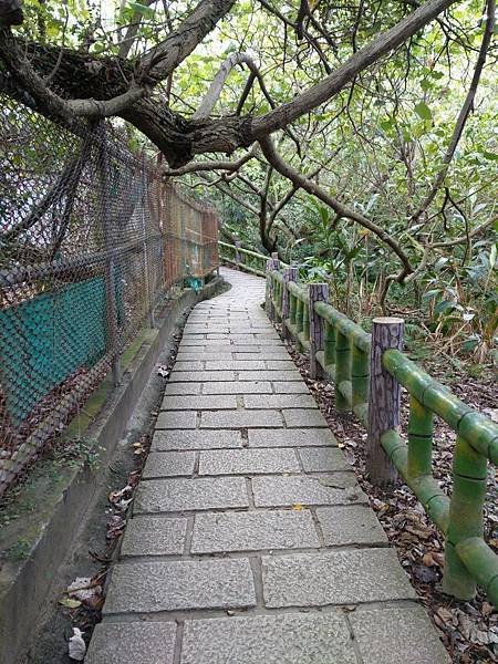 軍鑑岩_210407_31.jpg