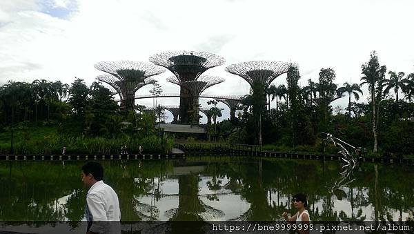 新加坡 │「濱海灣花園」夜晚城市中最美的超級樹叢